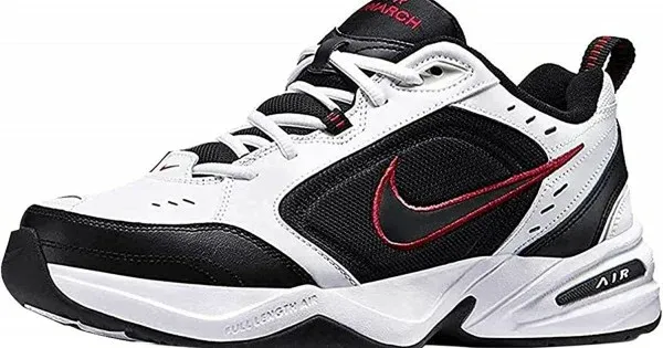 Nike Air Monarch IV Training 415445 101