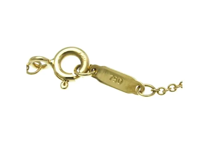 Tiffany & Co Collar Péndulo de Diamante Atlas Tiffany Dorado 